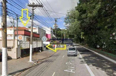 Terreno para alugar, 600 m² por r$ 16.600,00/mês - mooca - são paulo/sp