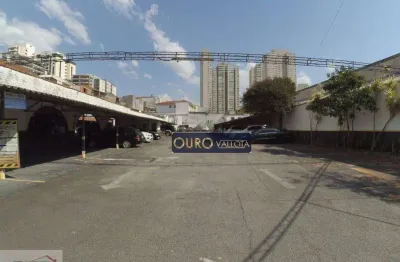 Terreno comercial para alugar na Rua Siqueira Bueno, Belenzinho, São Paulo