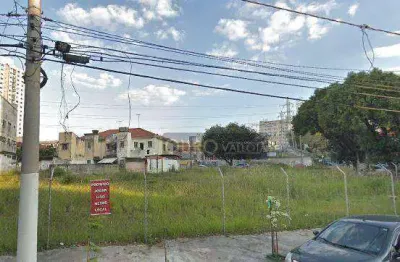 Terreno comercial para alugar na Rua Cafesópolis, Mooca, São Paulo