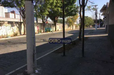 Galpão à venda, 1132 m² por r$ 7.500.000,00 - belenzinho - são paulo/sp