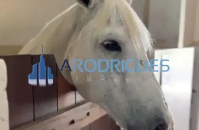 Oportunidade única: terreno em condomínio de 525m² em simões filho-ba! agende sua visita agora!