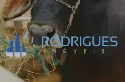 Imperdível Terreno à Venda em Mata de São João-BA, Reserva Sapiranga, 1.000m², Condomínio Fazenda, Analisa Permuta!