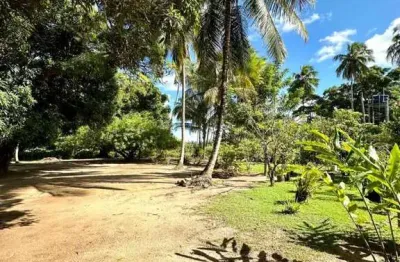 Sítio / chácara para venda em camaçari, monte gordo (monte gordo), 10 vagas