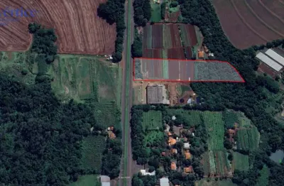 Terreno à venda em maringá, distrito de floriano (floriano), com 25000 m²