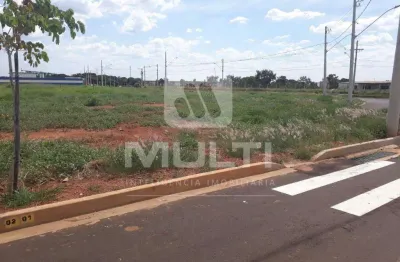 Terreno comercial para alugar no Minas Gerais, Uberlândia 