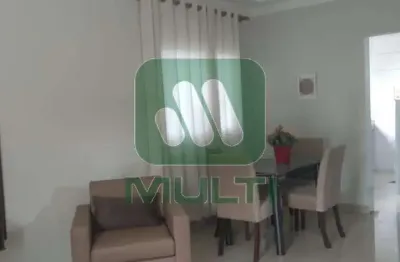 Apartamento com 2 quartos para alugar no Santa Mônica, Uberlândia 
