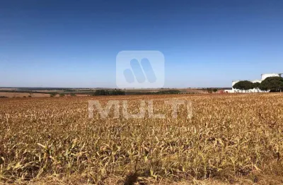 Terreno comercial para alugar no Jardim Canaã, Uberlândia 