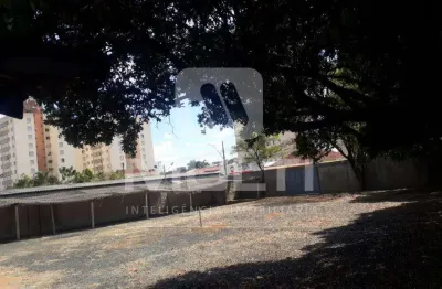 Terreno comercial para alugar no Martins, Uberlândia 