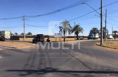 Terreno comercial para alugar no Santa Mônica, Uberlândia 