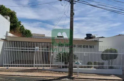 Casa com 4 quartos para alugar no Tabajaras, Uberlândia 