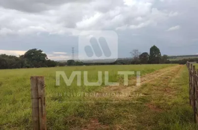 Terreno comercial para alugar na Área Rural de Uberlândia, Uberlândia 