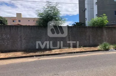 Terreno comercial para alugar no Santa Mônica, Uberlândia 