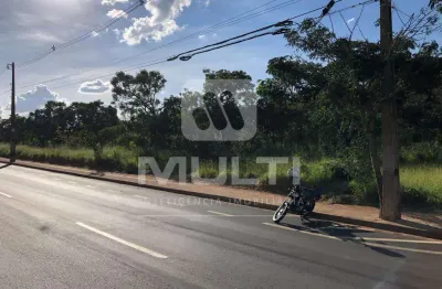 Terreno comercial para alugar no Chácaras Bonanza, Uberlândia 