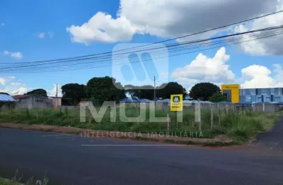Terreno comercial à venda no Alto Umuarama, Uberlândia 
