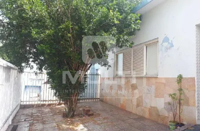 Casa com 5 quartos à venda no Martins, Uberlândia 