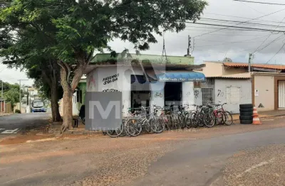 Casa com 8 quartos à venda no Martins, Uberlândia 