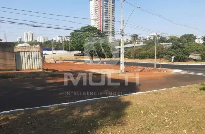 Terreno comercial à venda no Vigilato Pereira, Uberlândia 