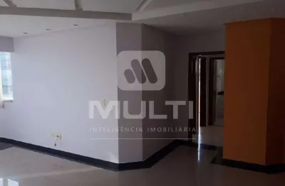 Cobertura com 4 quartos à venda no Santa Maria, Uberlândia 