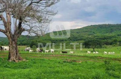Fazenda à venda na Área Rural de Uberlândia, Uberlândia 