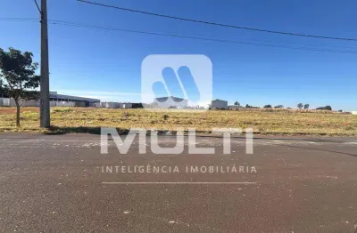 Terreno à venda no Loteamento Centro Empresarial Leste III, Uberlândia 