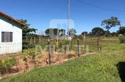 Fazenda à venda na Área Rural de Uberlândia, Uberlândia 