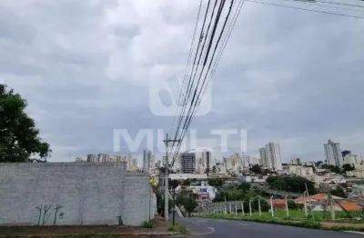 Terreno comercial à venda no Vigilato Pereira, Uberlândia 