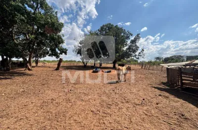 Chácara / sítio com 1 quarto à venda no Chácaras Uirapuru, Uberlândia 