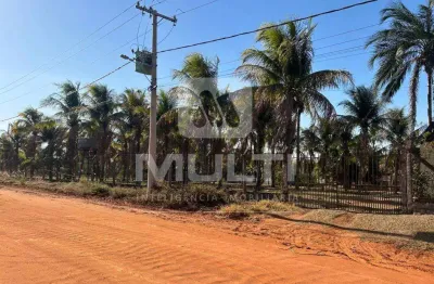 Chácara / sítio com 3 quartos à venda no Jockey Camping, Uberlândia 