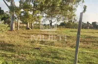 Chácara / sítio com 1 quarto à venda no Chácaras Uirapuru, Uberlândia 