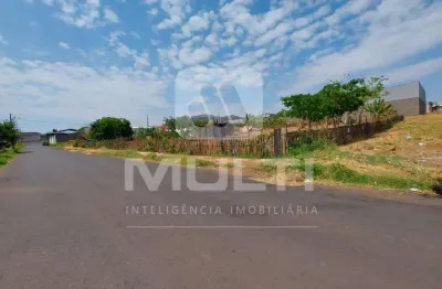 Terreno comercial à venda na Nossa Senhora das Graças, Uberlândia 