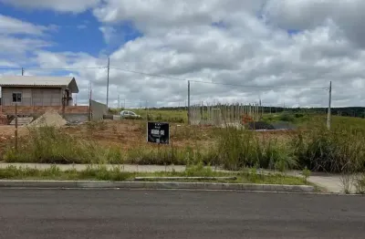 Terreno à venda na Rua Pastor Alcy Vaz Da Costa, Morro Alto, Guarapuava
