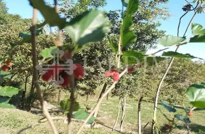 Terreno em condomínio fechado à venda na Zona Rural, Piracicaba 