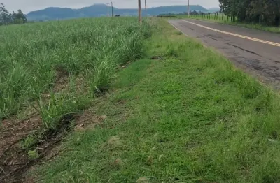 Chácara / sítio à venda na Rua 7 de Setembro, 100, Zona Rural, Saltinho