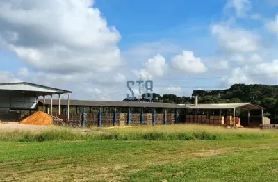 Barracão / galpão / depósito para alugar na vila nova, 650, cachoeira, são josé dos pinhais por r$ 30.000