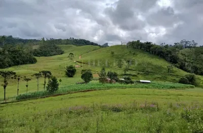 Chácara / sítio com 3 quartos à venda no Centro, Natividade da Serra 