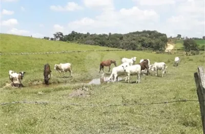 Terreno à venda na ÁRea Rural De Monte Mor, Zona Rural, Monte Mor