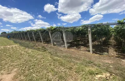 Chácara / sítio com 3 quartos à venda na José Mendes De Godói, S/N, Loteamento Vila Central, Elias Fausto