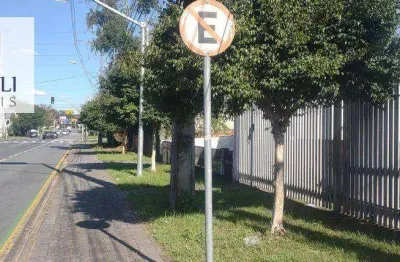 Barracão / Galpão / Depósito com 12 salas à venda na Rua Imaculada Conceição, 1794, Prado Velho, Curitiba