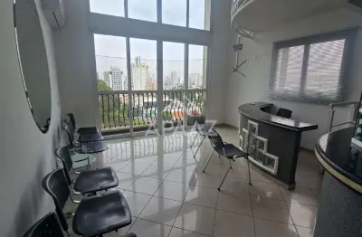 Sala para aluguel, 1 quarto, 2 vagas, cidade mãe do céu - são paulo/sp