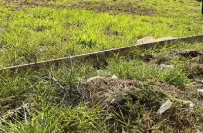 Terreno misto de 1.762 m² para alugar no jardim botânico, zona sul de ribeirão preto