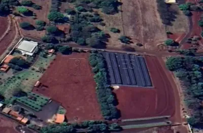 Terreno de 5.500 m² para alugar no bairro jardim olhos d´água, zona sul de ribeirão preto