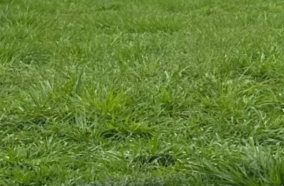 Terreno em condomínio de 960 m² à venda no condomínio Mirante Royal Park, Bonfim Paulista