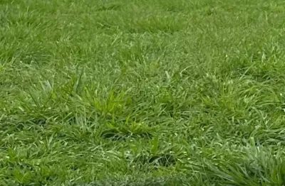 Terreno à venda no Condomínio Terras de Siena, 405 m², Vila do Golf, Zona Sul de Ribeirão Preto