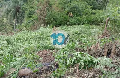 Terreno à venda no Passa Três, Rio Claro 
