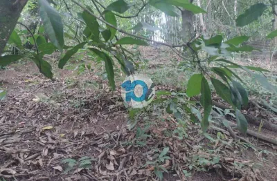 Terreno à venda no Jardim Boa Vista, Barra Mansa 