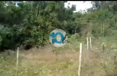 Chácara / sítio à venda na Estrada Governador Chagas Freitas, Rialto, Barra Mansa