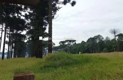 Área industrial á venda, 106.100,00m2 - jardim bela vista, itapetininga