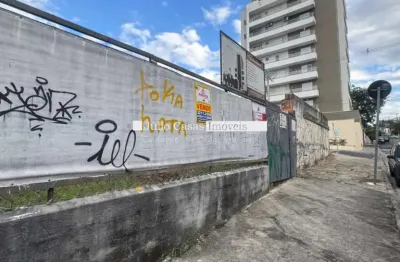 Terreno comercial com 350m2 no bairro santa terezinha à 50m da avenida dr afonso vergueiro.