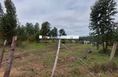 Fazenda à venda em Lavras, Mairiporã 