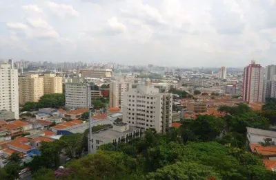 Apartamento com 3 quartos à venda em jardim das laranjeiras - sp